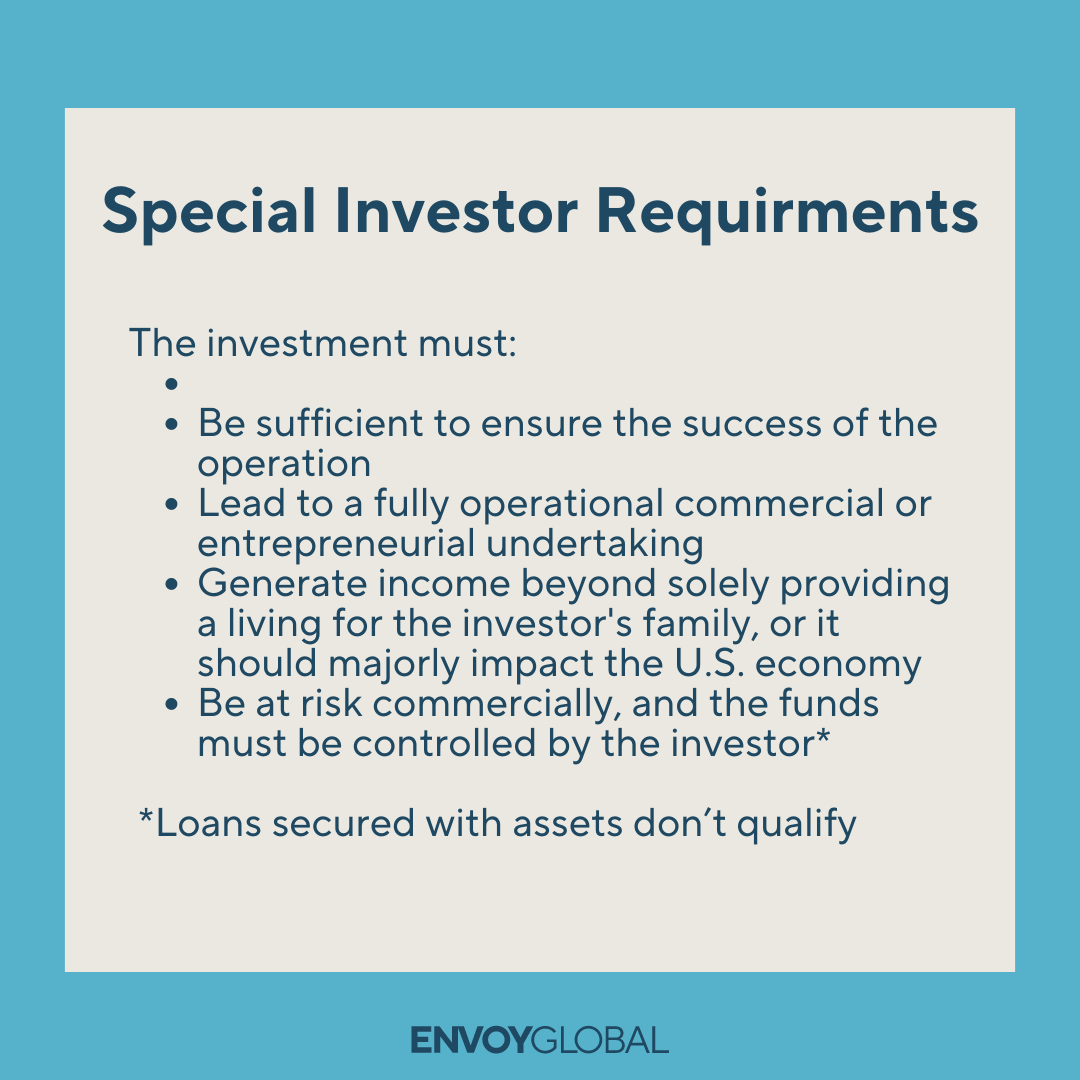 Definition and description of the requirements for a special investor under the E treaty visa type.